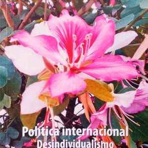Política internacional. Desindividualismo