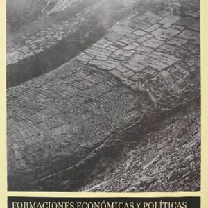 Formaciones económicas y políticas del mundo andino