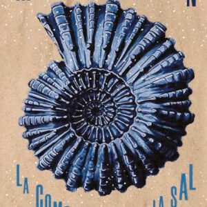 La composición de la sal